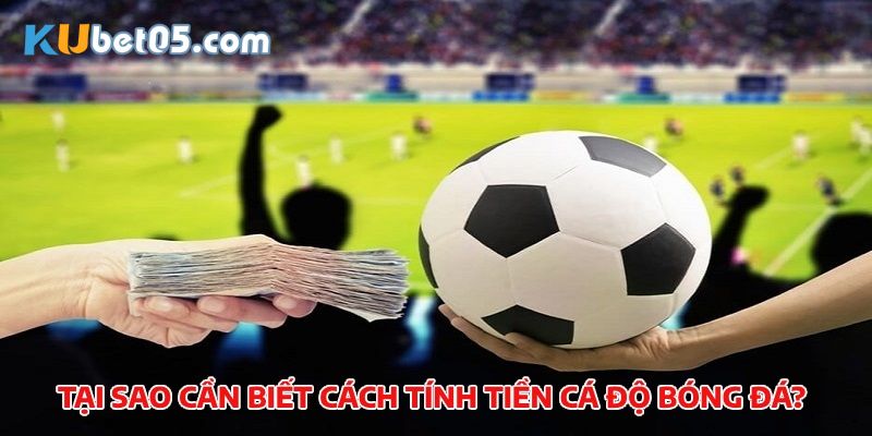 Thông tin về cách tính tiền cá độ bóng đá và lợi ích mang lại Thông tin về cách tính tiền cá độ bóng đá và lợi ích mang lại